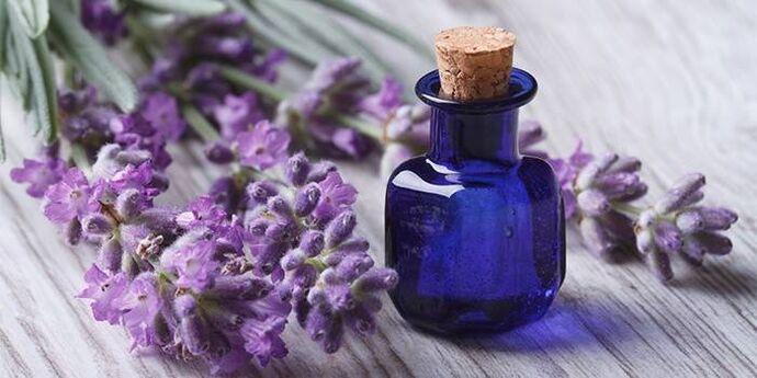 minyak lavender untuk keremajaan kulit